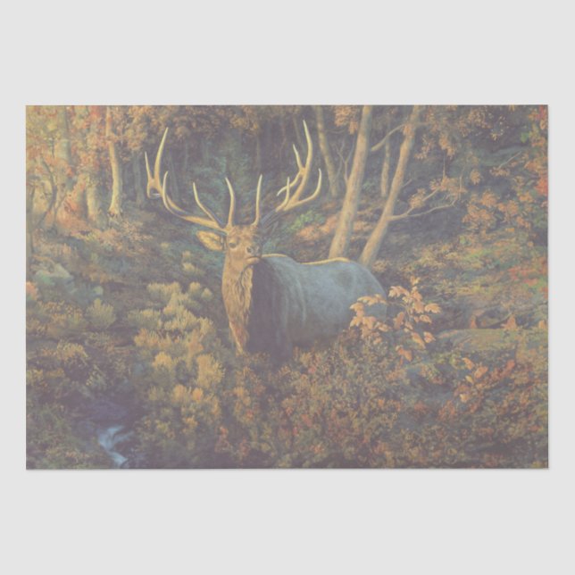 Bull Elk in Autumn Forest Tissue Paper (Front)