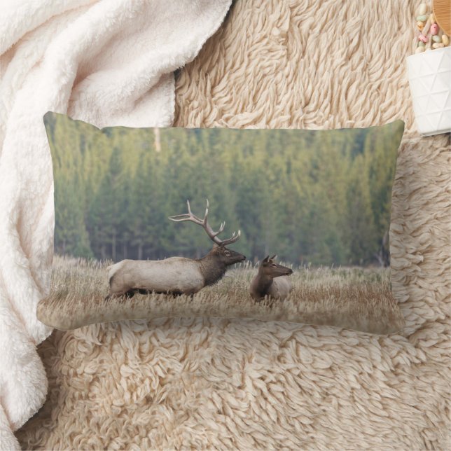 Bull Elk in Meadow | Yellowstone National Park Lumbar Pillow (Blanket)