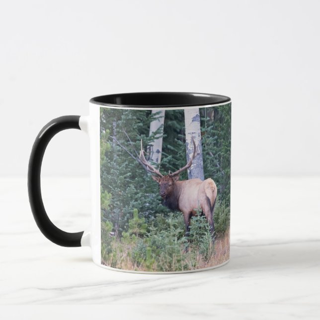 Bull elk in mountains of Colorado Mug (Left)