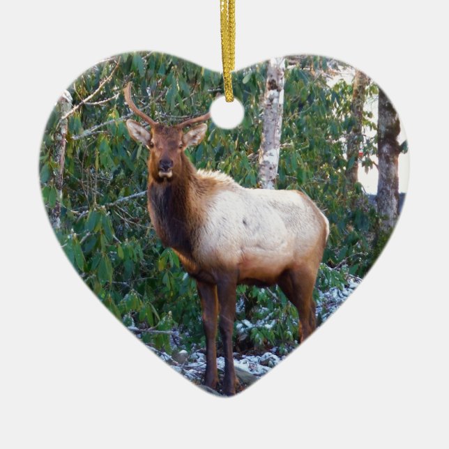 Bull Elk in Rhododendrons Ceramic Ornament (Front)