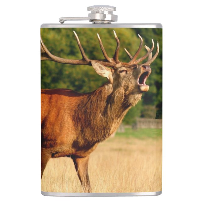 Bull elk in rut hip flask (Front)