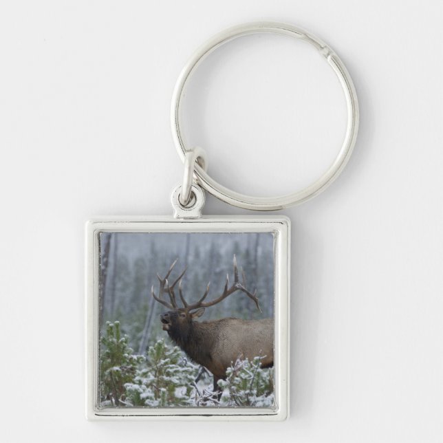 Bull Elk in snow calling, bugling, Yellowstone Keychain (Front)