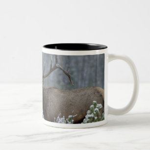 Bull Elk in snow calling, bugling, Yellowstone Two-Tone Coffee Mug