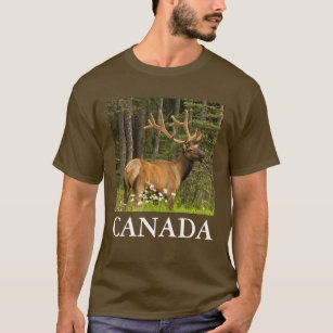 Bull elk in velvet, Canada T-Shirt