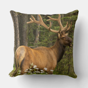 Bull elk in velvet, Canada Throw Pillow