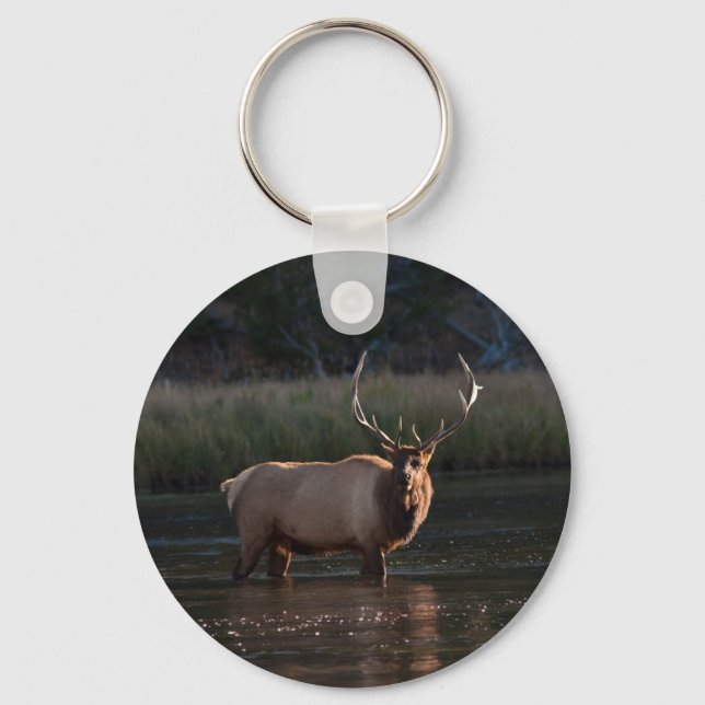 Bull Elk Keychain (Front)