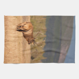 Bull Elk Kitchen Towel