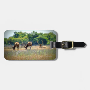Bull Elk Luggage Tag