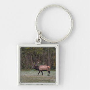 Bull Elk Morning Walk Keychain
