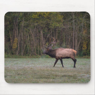 Bull Elk Morning Walk Mouse Pad