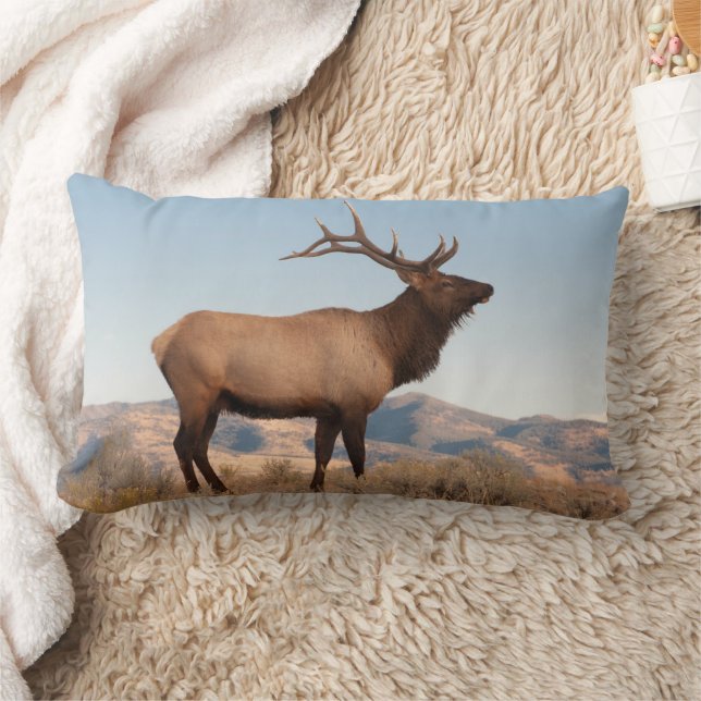 Bull Elk Near Mammoth | Wyoming Lumbar Pillow (Blanket)
