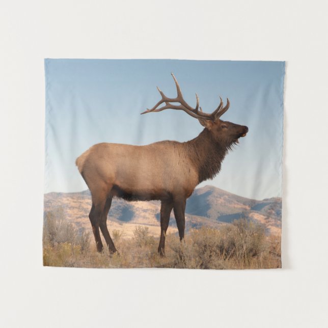 Bull Elk Near Mammoth | Wyoming Tapestry (Front (Horizontal))