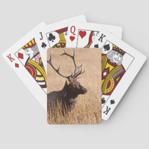 Bull Elk Playing Cards