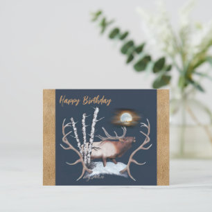 Bull Elk Postcard