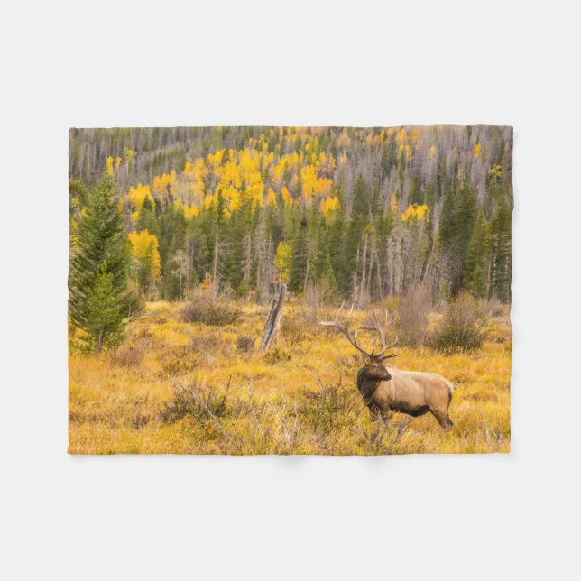 Bull Elk | Rocky Mountain National Park Colorado Fleece Blanket (Front (Horizontal))