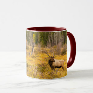Bull Elk   Rocky Mountain National Park Colorado Mug