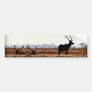 Bull Elk Silhouette Bumper Sticker