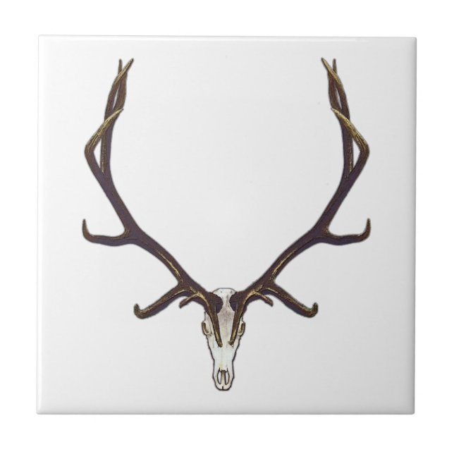 Bull elk skull colour tile (Front)