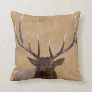 bull elk throw pillow