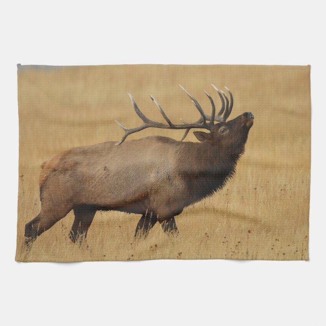 Bull Elk with Head Back Kitchen Towel (Horizontal)