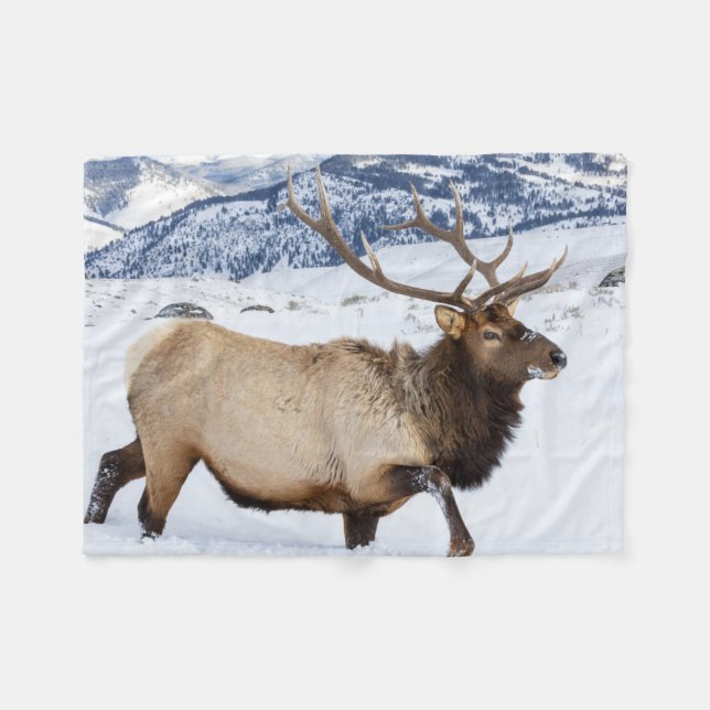 Bull Elk | Wyoming Fleece Blanket (Front (Horizontal))