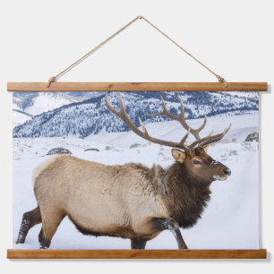 Bull Elk   Wyoming Hanging Tapestry