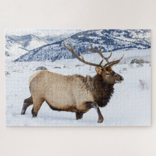 Bull Elk Wyoming Jigsaw Puzzle