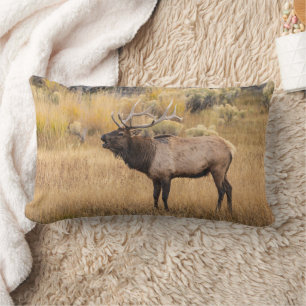 Bull Elk Yellowstone National Park Lumbar Pillow