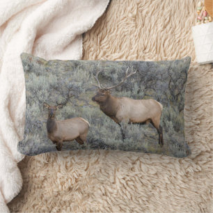 Bull Elk   Yellowstone National Park, Wyoming Lumbar Pillow