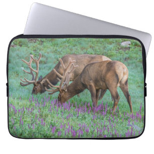 Bull Elks Rocky Mountain National Park, Colorado Laptop Sleeve