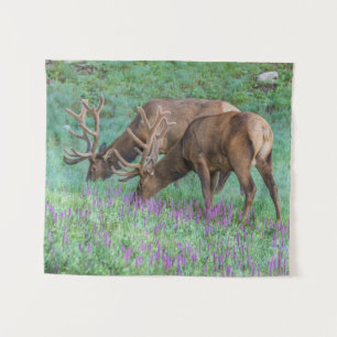 Bull Elks Rocky Mountain National Park, Colorado Tapestry