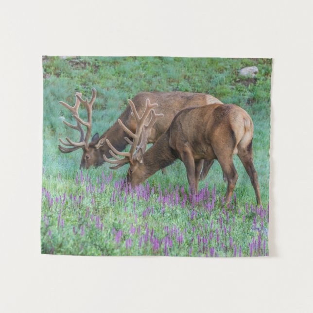 Bull Elks Rocky Mountain National Park, Colorado Tapestry (Front (Horizontal))