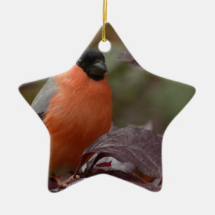 Bull Finch Ceramic Ornament