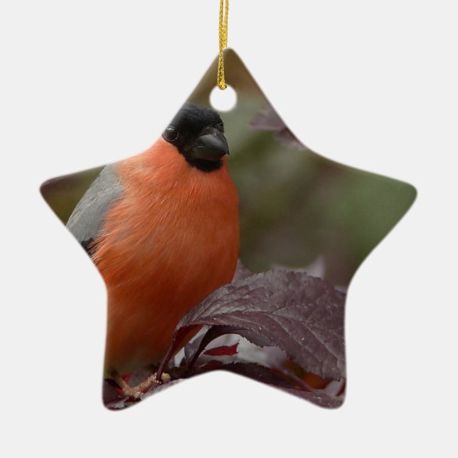 Bull Finch Ceramic Ornament (Front)