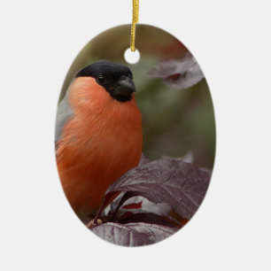 Bull Finch Ceramic Ornament