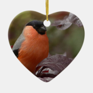 Bull Finch Ceramic Ornament