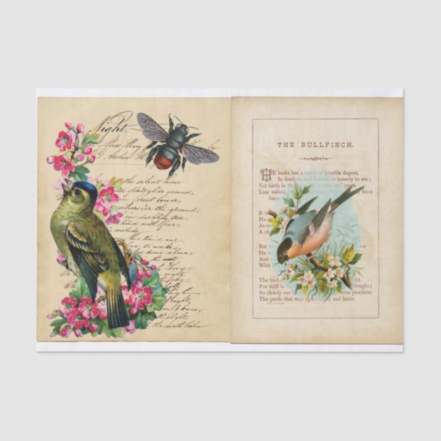 Bull Finch Ephemera Book Pages with Bee & Birds Tissue Paper (Front)