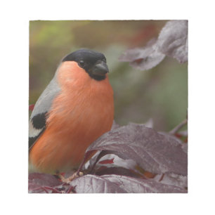 Bull Finch Notepad