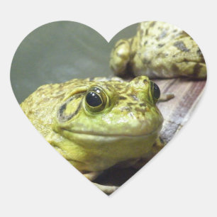 Bull Frog Heart Sticker