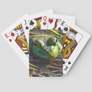 Bull Frog Playing Cards