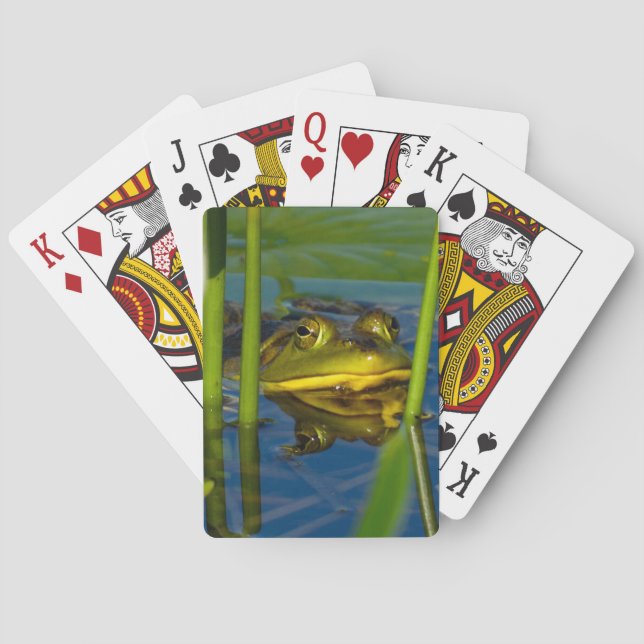Bull Frog Playing Cards (Back)
