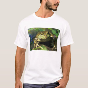 Bull frog. T-Shirt