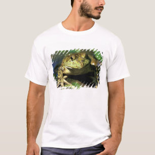 Bull frog. T-Shirt