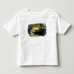 Bull frog. toddler t-shirt
