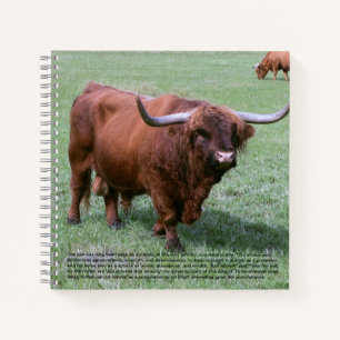Bull Hardcover Notebook