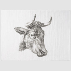 Bull Head Ephemera Decoupage Vintage Farm Cow Tissue Paper