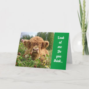 BULL IS SERIOUS AND SAYS "HAPPY 70th BIRTHDAY" Card