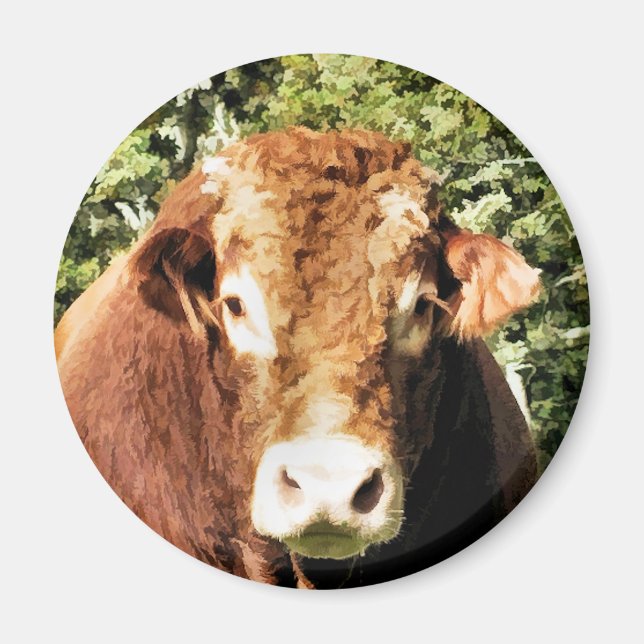 BULL MAGNET (Front)
