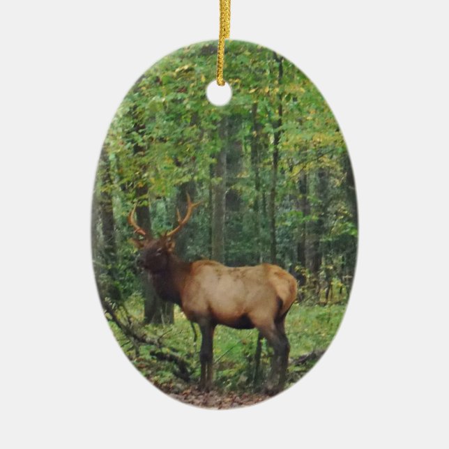 Bull Male Elk in autumn field Ceramic Ornament (Front)