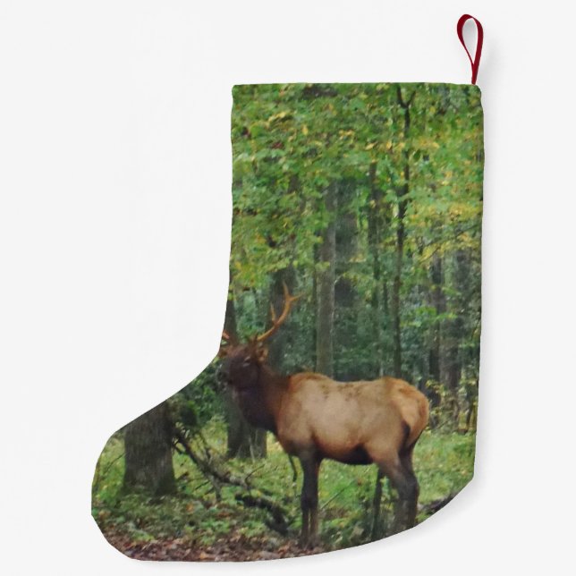 Bull Male Elk in autumn field Small Christmas Stocking (Back)